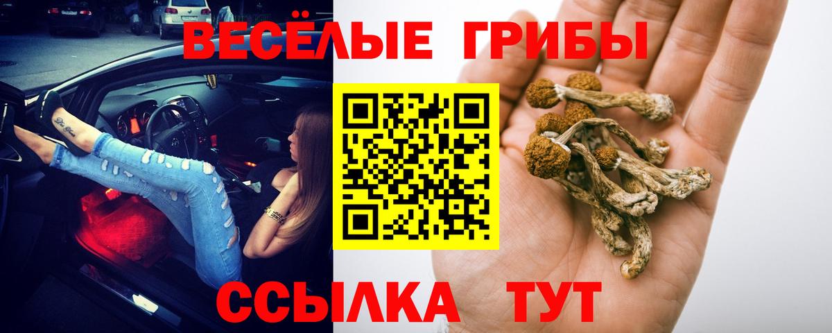 Псилоцибиновые грибы Psilocybe  Галлюциногенные грибы Cubensis  Ростов Великий  Вход с VPN 
